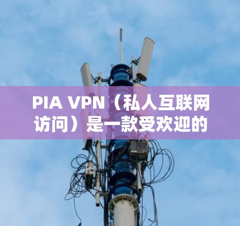 PIA VPN（私人互联网访问）是一款受欢迎的虚拟专用网络（VPN）服务提供商，他们提供正版的客户端，用户可以通过官网下载和安装。以下是使用PIA VPN正版客户端的步骤和注意事项