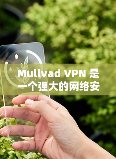 Mullvad VPN 是一个强大的网络安全工具，适合对隐私和网络安全有较高要求的用户。以下是对 Mullvad VPN 的详细分析和总结