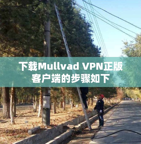 下载Mullvad VPN正版客户端的步骤如下