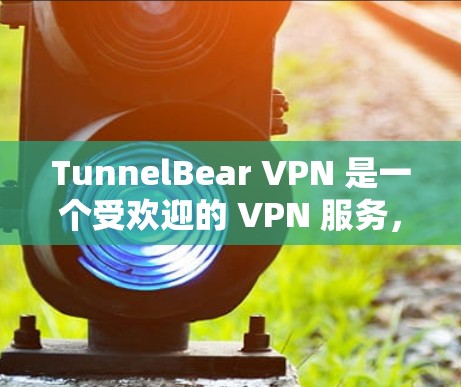 TunnelBear VPN 是一个受欢迎的 VPN 服务，但如果你想探索其他好用的 VPN，以下是一些推荐
