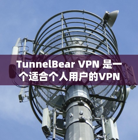 TunnelBear VPN 是一个适合个人用户的VPN服务，提供简单易用的界面和基本的隐私保护功能。以下是对TunnelBear VPN电脑客户端软件的详细评价