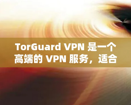 TorGuard VPN 是一个高端的 VPN 服务，适合需要高安全性和隐私保护的用户。以下是对 TorGuard VPN 的详细分析和建议