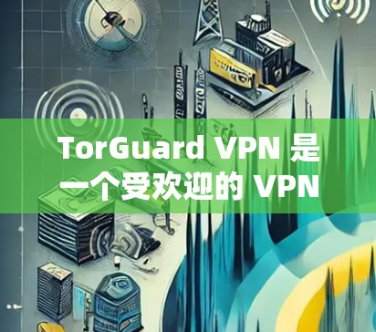 TorGuard VPN 是一个受欢迎的 VPN 服务提供商，以其强大的隐私保护功能和高安全性而闻名。以下是关于 TorGuard VPN 的推荐理由