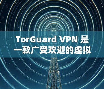 TorGuard VPN 是一款广受欢迎的虚拟专用网络（VPN）软件，旨在为用户提供安全、隐私保护和稳定连接。以下是对该软件的详细分析和总结