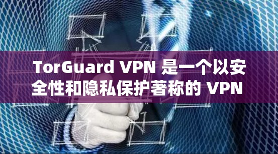 TorGuard VPN 是一个以安全性和隐私保护著称的 VPN 服务，旨在帮助用户 保持匿名 保护网络安全。以下是关于 TorGuard VPN 的一些关键信息和安全性分析