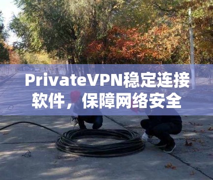 PrivateVPN稳定连接软件，保障网络安全与高效通信