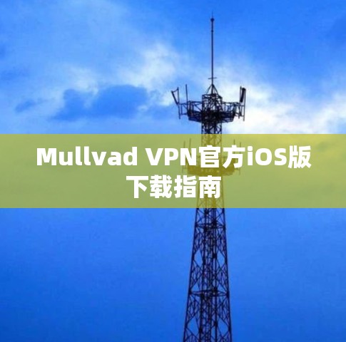 Mullvad VPN官方iOS版下载指南