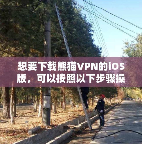 想要下载熊猫VPN的iOS版，可以按照以下步骤操作