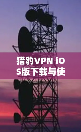 猎豹VPN iOS版下载与使用指南
