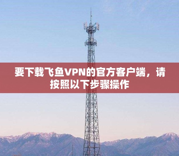 要下载飞鱼VPN的官方客户端，请按照以下步骤操作