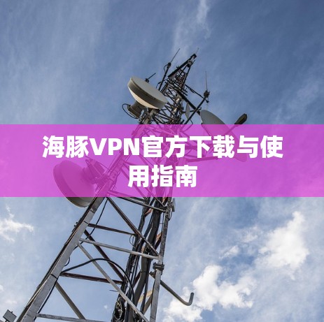 海豚VPN官方下载与使用指南