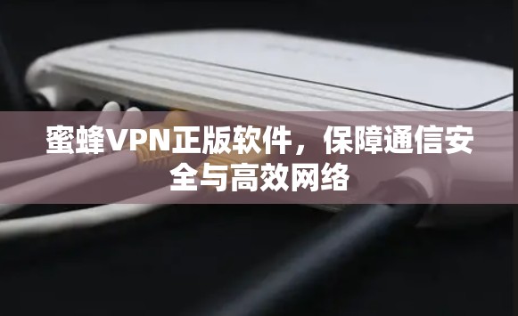 蜜蜂VPN正版软件，保障通信安全与高效网络