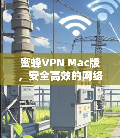 蜜蜂VPN Mac版，安全高效的网络通道