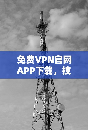 免费VPN官网APP下载，技术与安全的平衡
