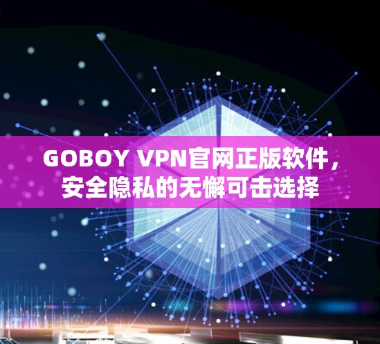 GOBOY VPN官网正版软件，安全隐私的无懈可击选择