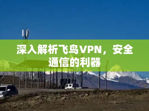 深入解析飞鸟VPN，安全通信的利器