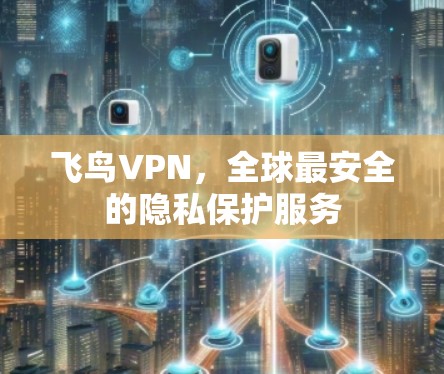 飞鸟VPN，全球最安全的隐私保护服务
