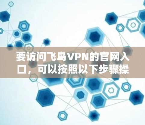 要访问飞鸟VPN的官网入口，可以按照以下步骤操作