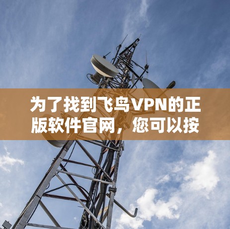 为了找到飞鸟VPN的正版软件官网，您可以按照以下步骤进行