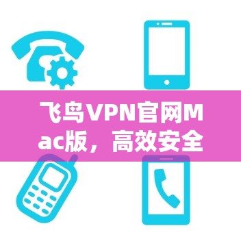 飞鸟VPN官网Mac版，高效安全的网络解决方案