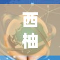 西柚VPN安卓版下载指南