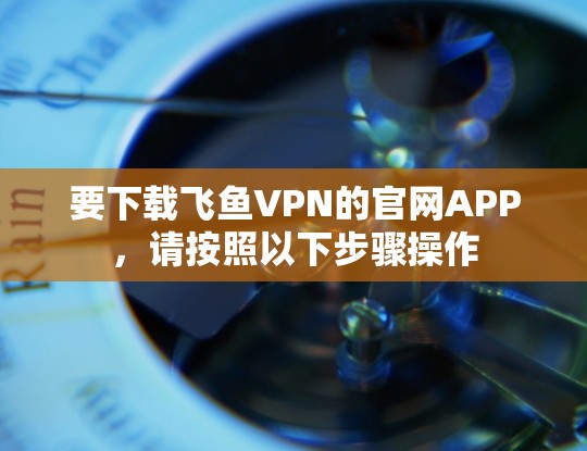 要下载飞鱼VPN的官网APP，请按照以下步骤操作