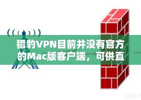 猎豹VPN目前并没有官方的Mac版客户端，可供直接下载。不过，你可以通过以下方式在Mac上使用猎豹VPN