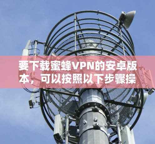 要下载蜜蜂VPN的安卓版本，可以按照以下步骤操作