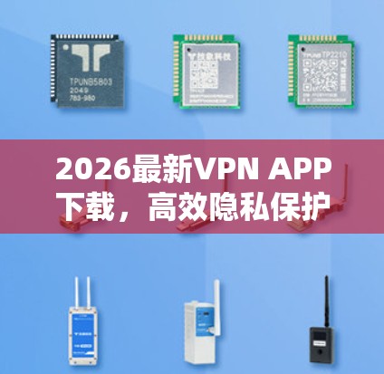 2026最新VPN APP下载，高效隐私保护通信工具