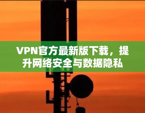 VPN官方最新版下载，提升网络安全与数据隐私