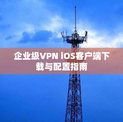 企业级VPN iOS客户端下载与配置指南