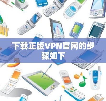 下载正版VPN官网的步骤如下