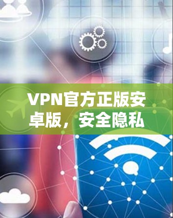 VPN官方正版安卓版，安全隐私保护的专业解决方案