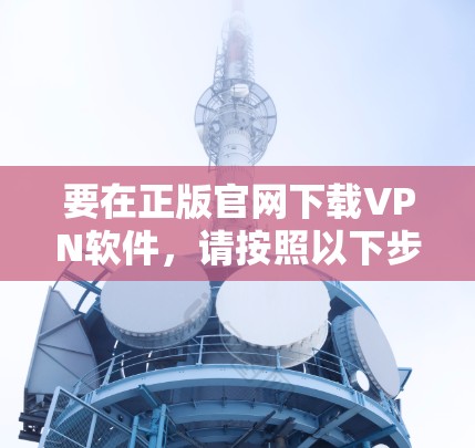 要在正版官网下载VPN软件，请按照以下步骤操作