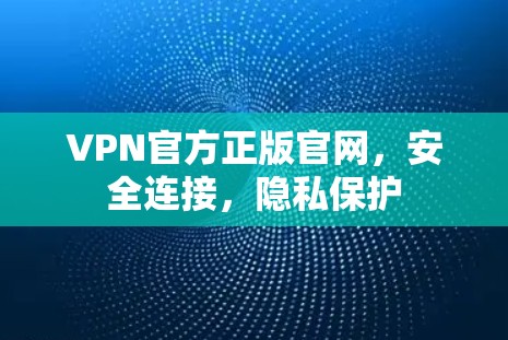 VPN官方正版官网，安全连接，隐私保护
