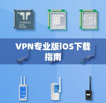 VPN专业版iOS下载指南