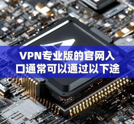 VPN专业版的官网入口通常可以通过以下途径找到