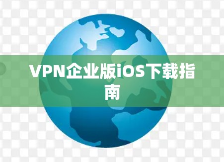 VPN企业版iOS下载指南