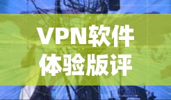 VPN软件体验版评测，性能与安全的平衡之道