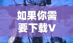 如果你需要下载VPN软件的旗舰版，可以通过以下几种方式获取
