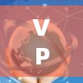 VPN旗舰版官网入口解析与部署指南