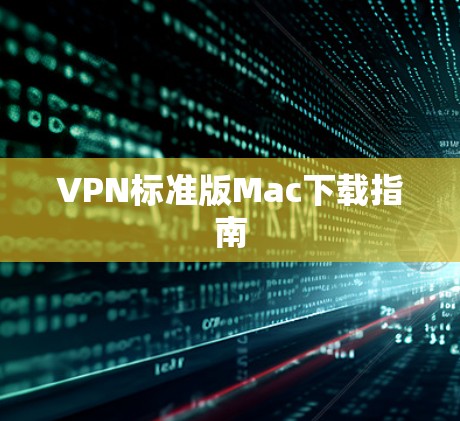 VPN标准版Mac下载指南