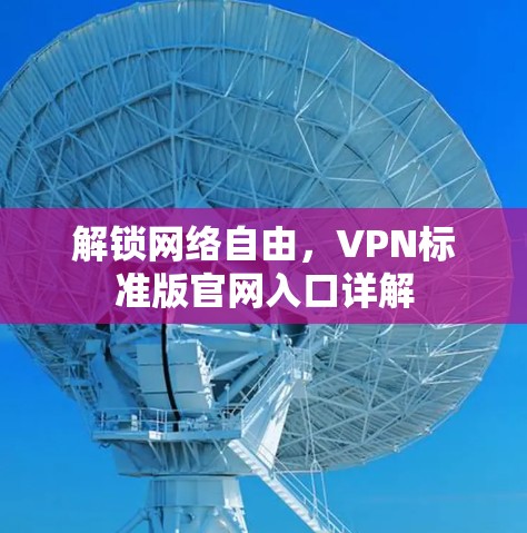 解锁网络自由，VPN标准版官网入口详解