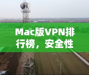 Mac版VPN排行榜，安全性与性能的权衡