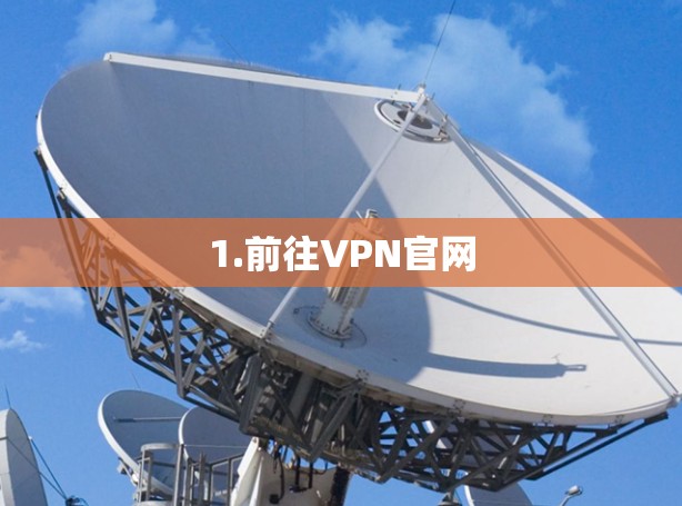1.前往VPN官网