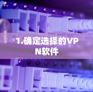 1.确定选择的VPN软件