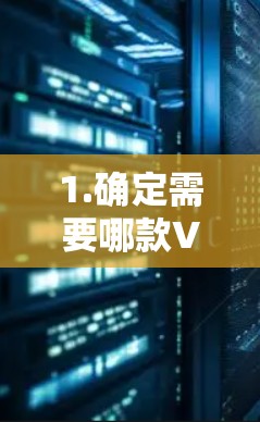 1.确定需要哪款VPN服务