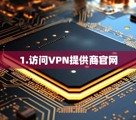 1.访问VPN提供商官网