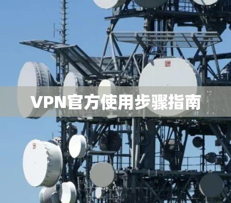 VPN官方使用步骤指南