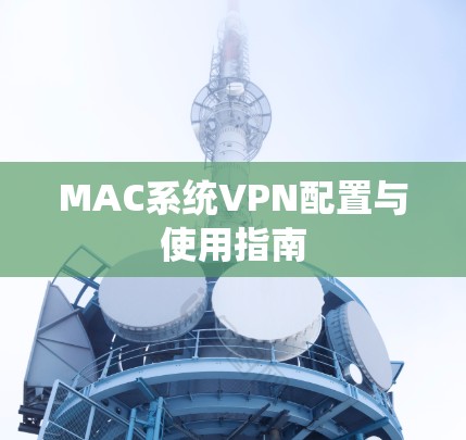 MAC系统VPN配置与使用指南